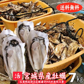 殻付き牡蠣 7kg 宮城県産 生食用出荷は毎週月曜の検査結果次第 産地直送 送料無料 旬 活 かき