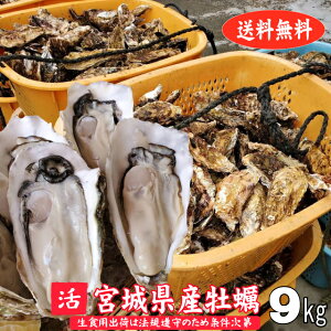 kty 9kg {錧Y Hpoׂ͖Tǰʎ Yn  {  