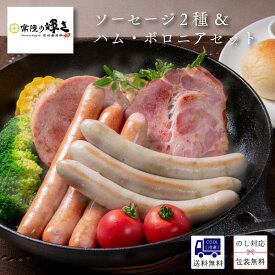 お取り寄せグルメ 高級 ソーセージ 常陸の輝き ボロニア ハム ソーセージ 4種セット 送料無料 冷凍 食べ比べ おつまみ 国産 三元豚 茨城 銘柄豚