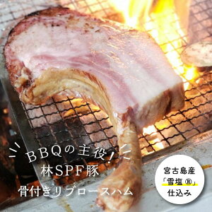 t u[X n g}z[N BBQ t }K u[X ʌ