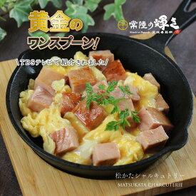 厚切りボロニア 茨城 銘柄豚 常陸の輝き ボロニアソーセージ 家飲み おつまみ 万能ソーセージ 国産 豚肉 100％ お取り寄せグルメ 取り寄せ BBQ バーベキュー 食材