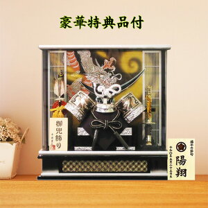 ܌l` ɒB@  P[X Lv 10  Ɩ OD RpNg AN RpNg  _   Vo[ ߋ j lC P[X