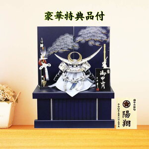 ܌l` 㐙M  [ Lv l[r[u[ Ⓜ  RpNg Ɩ䖼OD E  _ 8 [߂̐ߋ j A000000874