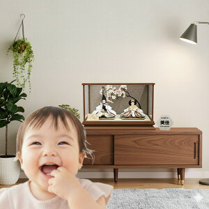 l` P[X ɏ Jh dグ AN  ߏ֒  RpNg LEDԐڏƖ ƂĂYȂЂȂ ȒP t A000000419 OD z Ti