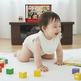 雛人形 ケース飾り おしゃれ ひな人形 ケース入り 嘉祥作 赤塗り 六角ケース 2026年度新作 特典付 名前札 被布 初節句 お祝い 桃の節句 親王飾り 二人飾り 芥子親王 オルゴール付 ガラスケース 刺繍バック 桜 48cm a000000708