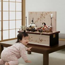 雛人形 収納飾り コンパクト 嘉祥作 きらら 親王飾り 可愛い おしゃれ モダン 高級 白衣裳着 お祝い お雛さま 名前札 豪華特典品 a000000718