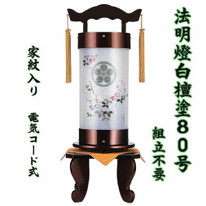 ~ @ 80 hh tZbgXCgs[G Ɩ gsv 1