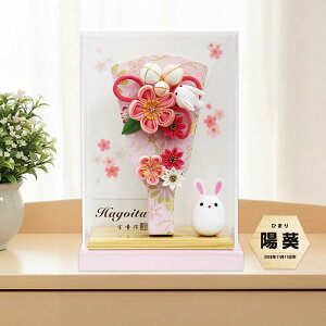 ܂ݍ׍H Hq RpNg _  7   AN P[X ~jTCY OD JUV }V TCY  j a000000656