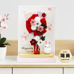 Hq RpNg ߂JUV 7 ANP[X   ܂ݍ׍H   j _  CeA    N ~jHq  OD 