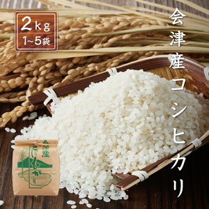 令和7年産 新米 コシヒカリ 【白米】 2kg 4kg 6kg 8kg 10kg 会津産 産地直送 送料無料 九州・沖縄別途送料 お米 米 精米 こしひかり
