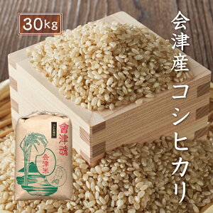 令和7年産 新米 コシヒカリ 【玄米】 30kg 会津産 産地直送 送料無料 九州・沖縄別途送料 お米 米 こしひかり