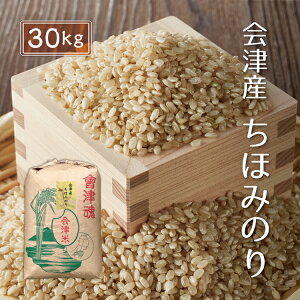 令和7年産 新米 ちほみのり 【玄米】 30kg 会津産 産地直送 送料無料 九州・沖縄別途送料 お米 米