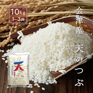 令和7年産 新米 天のつぶ 【白米】 10kg 20kg 30kg 会津産 産地直送 送料無料 九州・沖縄別途送料 お米 米 精米 天の粒