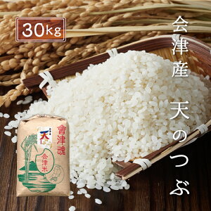 令和7年産 新米 天のつぶ 【白米】 30kg 会津産 産地直送 送料無料 九州・沖縄別途送料 お米 米 精米 天の粒