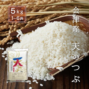 ߘa7NY V V̂ yāz 5kg 10kg 15kg 20kg 25kg 30kg ÎY Yn  BEʓr    V̗