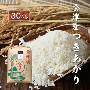 令和7年産 新米 つきあかり 【白米】 30kg 会津産 産地直送 送料無料 九州・沖縄別途送料 お米 米 精米 月明かり