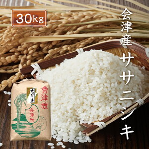 ߘa7NY V TTjVL yāz 30kg ÎY  Yn BEʓr    ɂ