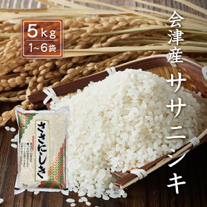 ߘa7NY V TTjVL yāz 5kg 10kg 15kg 20kg 25kg 30kg ÎY  Yn BEʓr    ɂ