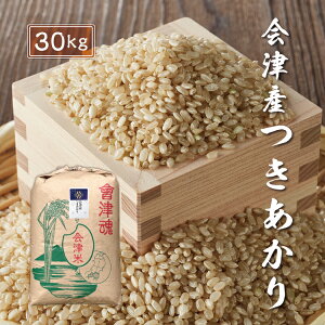 令和7年産 新米 つきあかり 【玄米】 30kg 会津産 産地直送 送料無料 九州・沖縄別途送料 お米 米 月明かり
