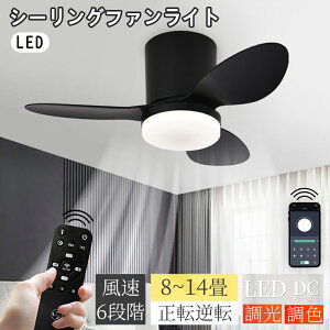 _6/20P10{+10%OFFI^V[Ot@Cg LED k  F 6~14 t  Ɩ VƖ É DC[^[ Rt LEDV[OCg  @ 6iK