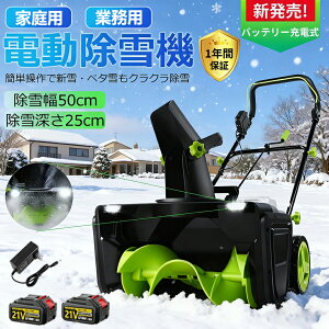 y2025Vo!z @ d ƒp 艟 [d d@ R[hX@ ^ LEDCgt  y Ⴉ dXRbv SXCb` ΂ ፂ25cm ᕝ50cm ő哊