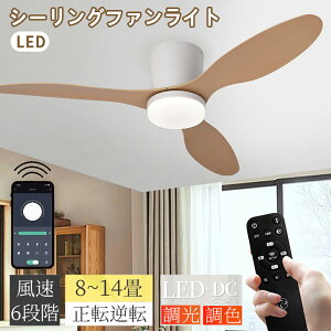 _6/20P10{+10%OFFI^V[Ot@Cg LED k  F 6~14 t  Ɩ VƖ É DC[^[ Rt LEDV[OCg 3H @ 6iK