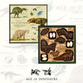 恐竜 チョコ お菓子 チョコレート ギフト 『AGE OF DINOSAURS』恐竜ショコラM【D-4】お菓子 おしゃれ かわいい 誕生日プレゼント【VT】