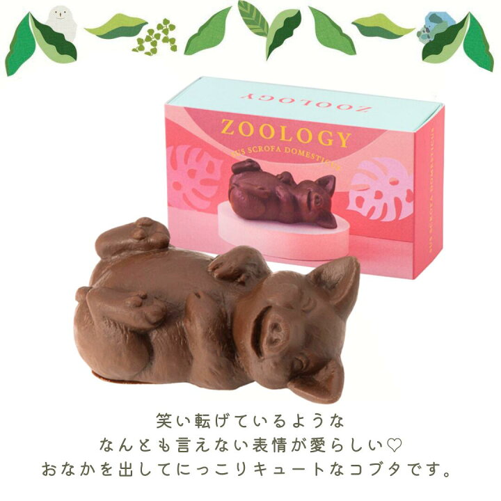 楽天市場】【在庫限り!!】チョコレート チョコ お菓子 ギフト『ZOOLOGY  