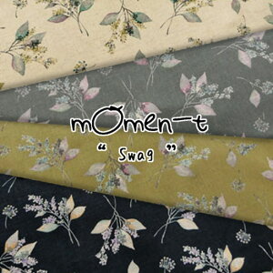 Vs܂momen]twswagxi[gXbOjRbglV[`Oyv~A\tgHz108cm@Rbg85El15