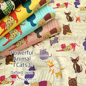 ▼Powerful Animal『Cats』(パワフルアニマル*キャット)≪オックスプリント≫※110cm幅 コットン100%|猫柄 ねこ ネコ ユニーク柄 かわいい柄 生地 布 入園入学にも キャット|