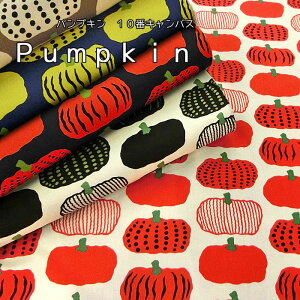 Vs܂PumpkinipvLj10ԃLoX⁦106cm@Rbg100bn k _ ڂᕿ A[gb