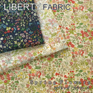 y10cmPʂ̃Jbg̔zLiberty Fabrics(oeBEt@ubNX)Tana Lawn ?C^AI[KjbN^i[2024SSySpring FlowersziXvOEt[Yj