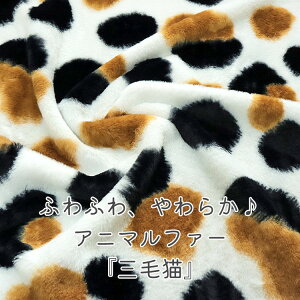 ӂӂA炩Aj}t@[wOєLxyЖʃt@[znF68cm@|GXe100