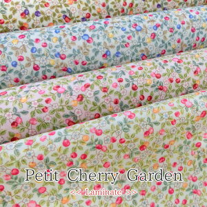 yۊzyc~l[gzPetit Cherry Gardeniv``F[K[fju[hvg⁦108cm@Rbg100@\Fcrj[R[eBO