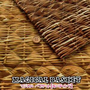 yjE傫߃LgXeb`zyLeBOz}WJoXPbgIbNXvg⁦102cm@Rbg100@ȁF|GXe