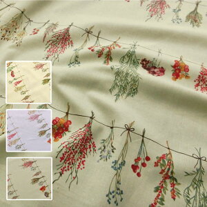 Vs܂momen]twswagxi[gXbOjRbglV[`Oyv~A\tgHz108cm@Rbg85El15