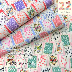 7eIyukiemonfUCi[YRN]vf[X22fabricijjt@ubNjwgvCgx60ȃ[fW^vg⁦106cm Rbg100btV