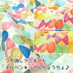 yۊzyc~l[gzw{傤u[hvg⁦108cm@Rbg100@\Fcrj[R[eBO