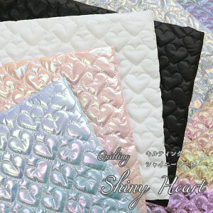 yLeBOzVCj[n[g65cm@\EEȁF|GXe100by[ւ50cmi1j܂ŁzLeBOn Lgn z wb