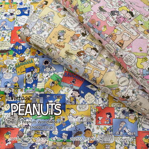 y10cmPʂ̃Jbg̔zPEANUTS? ×oeBEt@ubNXTana Lawn ? ^i[2025SS PEANUTS? Collection Vol.2wComic Strip Cosmos(R~bNEXgbvERXX)x (C) 2025 Peanuts Worldwide LLC