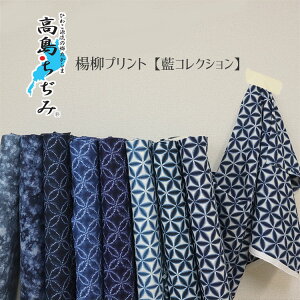 wRNVxፂ݁kvg⁦110cm@Rbg100