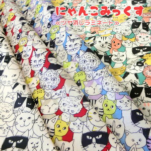 yۊzyc~l[gzɂ񂱂݂IbNXvg⁦108cm@Rbg100@\Fcrj[R[eBO