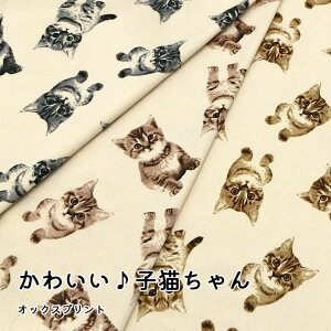 킢qLIbNXvg⁦108cm@Rbg100bL lR q˂ j[N A 킢 n z wb