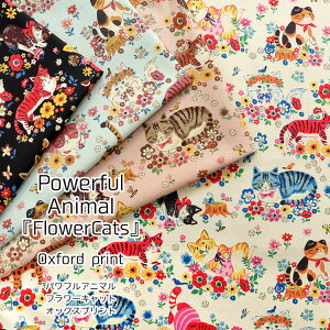 Powerful AnimalwFlower CatsxiptAj}t[LbgjIbNXvg⁦110cm@Rbg100bL ˂ lR j[N 킢  ̎q n z wɂ