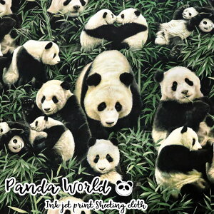 Panda Worldip_ [hjV[`OCNWFbgvg⁦110cm@Rbg100