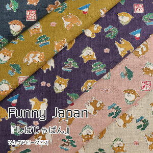 Funny Japanw΂ςxhr[NX⁦108cm@Rbg100bt@j[Wp ӂɁ[ς Č Ă Ă  aG rb