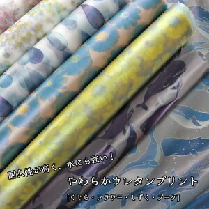 ϋvɂI炩E^vg62cm@TPUiMY|E^j100b̏i͏ł̔ƂȂ܂B t[  u[P |