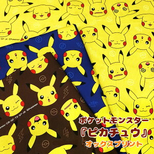 |PbgX^[wsJ`ExIbNXvg⁦110cm@Rbg100