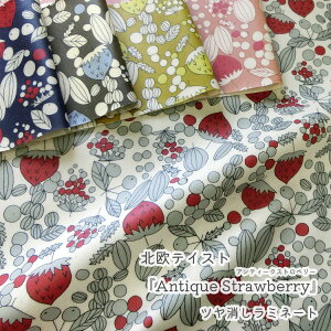 yۊzyc~l[gzkeCXgwAntique StrawberryxiAeB[N Xgx[jIbNXvg⁦108cm@Rbg100@\Fcrj[R[eBO