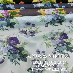 YUWAAerial RoseiGAA[Yj80{CvgyR[h}[Zi[jHz95cm@Rbg100